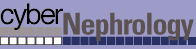 CyberNephrology